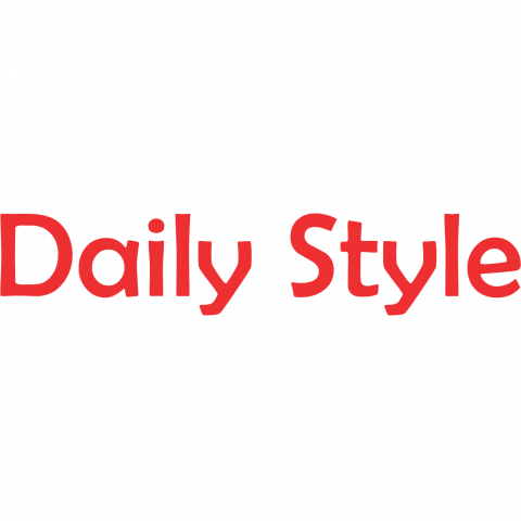 daily style logo
