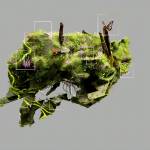 AI Tools voor afbeeldingen